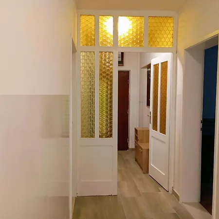 Sunny In Apartment